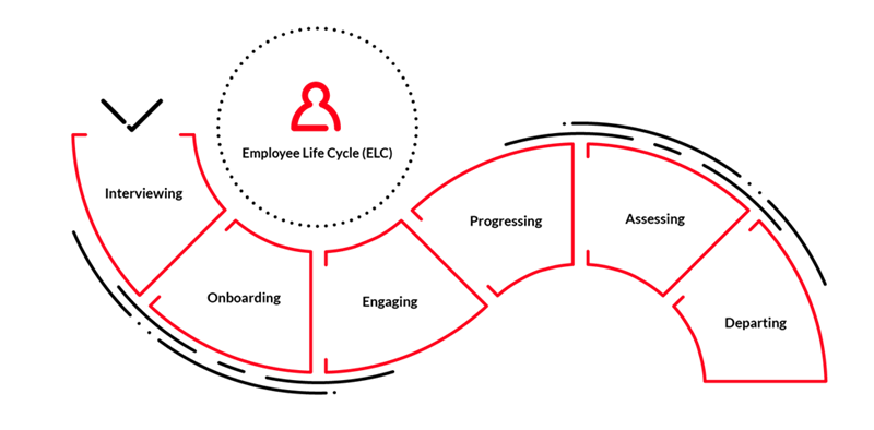 The employee lifecycles include: interviewing, onboarding, engaging, progressing, assessing, and departing